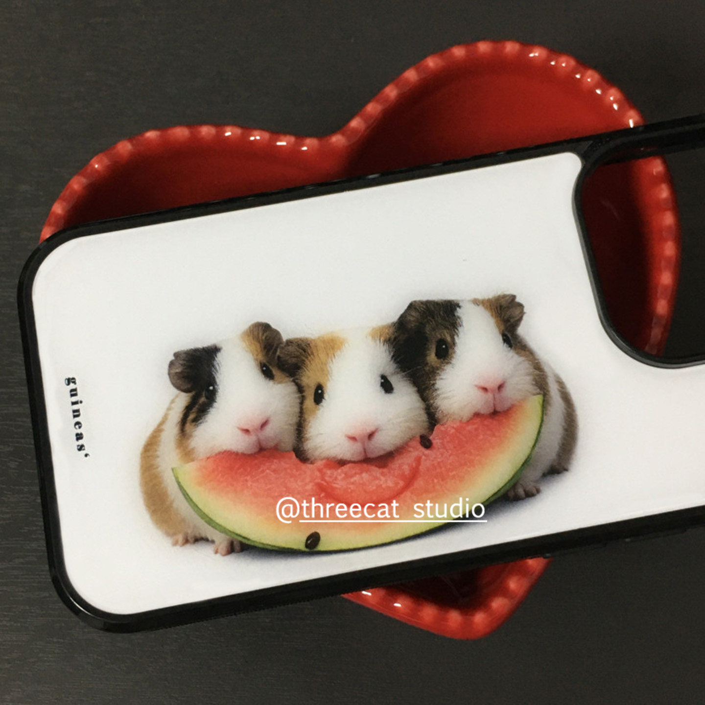Koreaanse Ins Guinea Pig Eet W - Phone Accessories Iphone recensie en prijs
