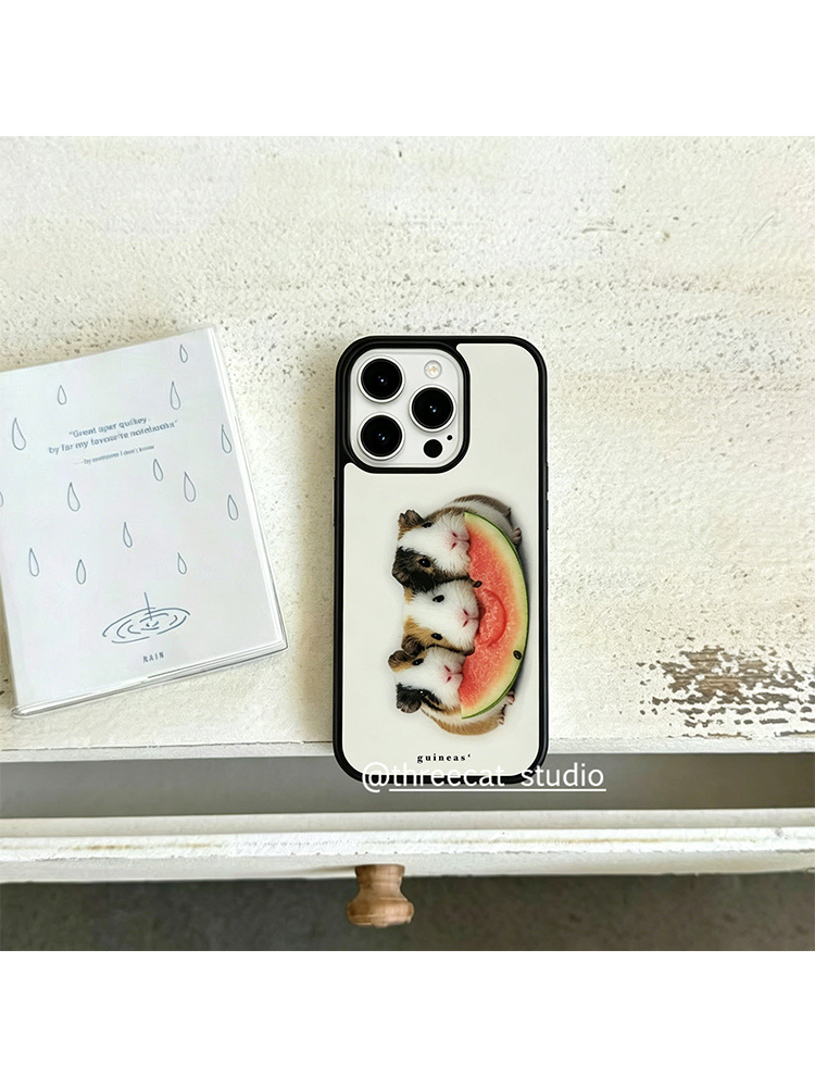 Koreaanse Ins Guinea Pig Eet W - Phone Accessories Iphone recensie en prijs