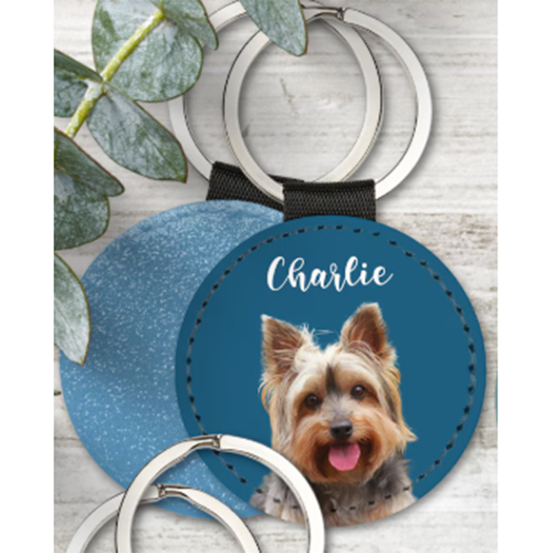 Aangepaste huisdier foto sleut - Phone Accessories Charms recensie en prijs